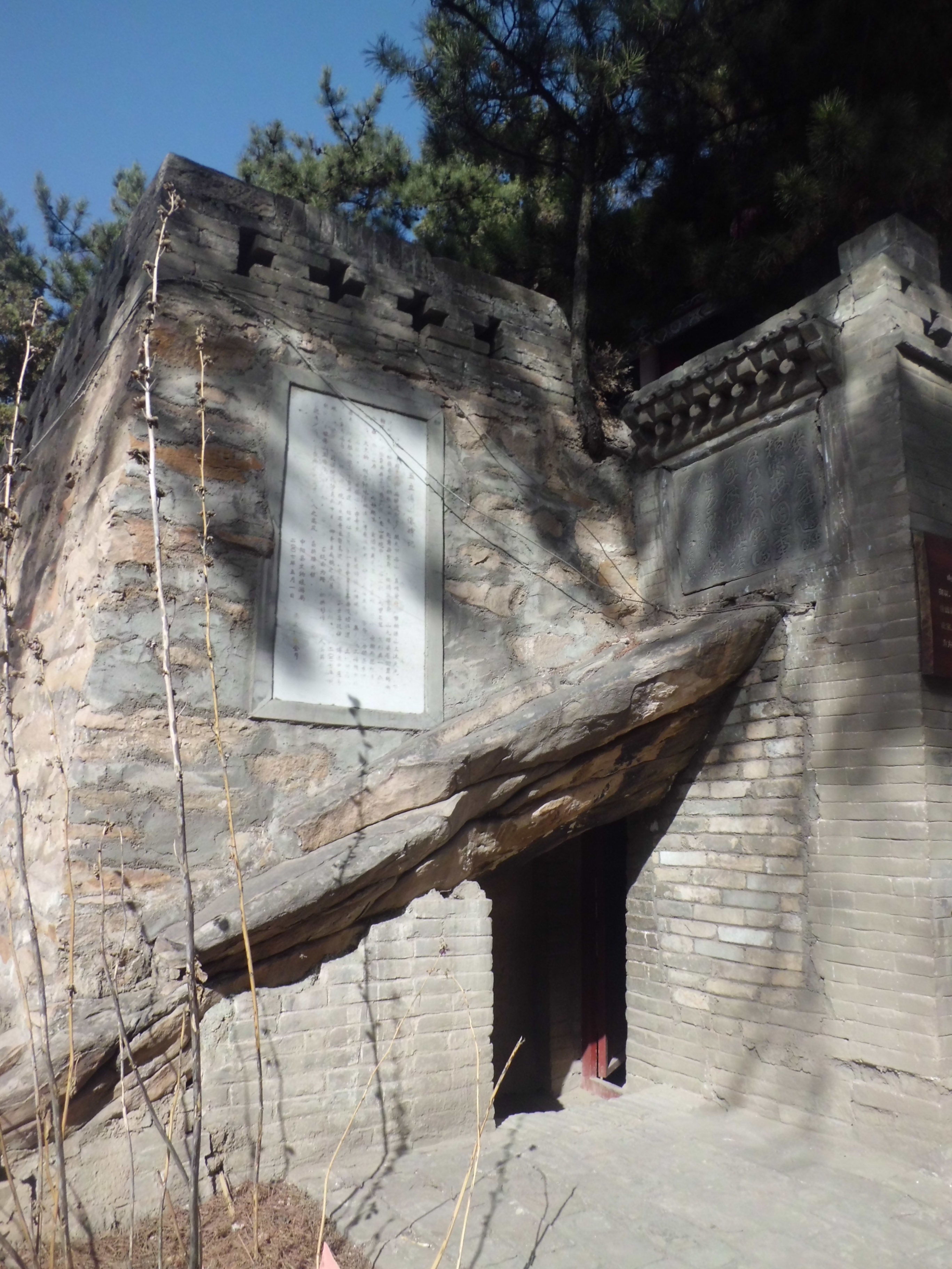 2024柏洼山风景区游玩攻略,柏洼山在吕梁市中阳县城以东5.