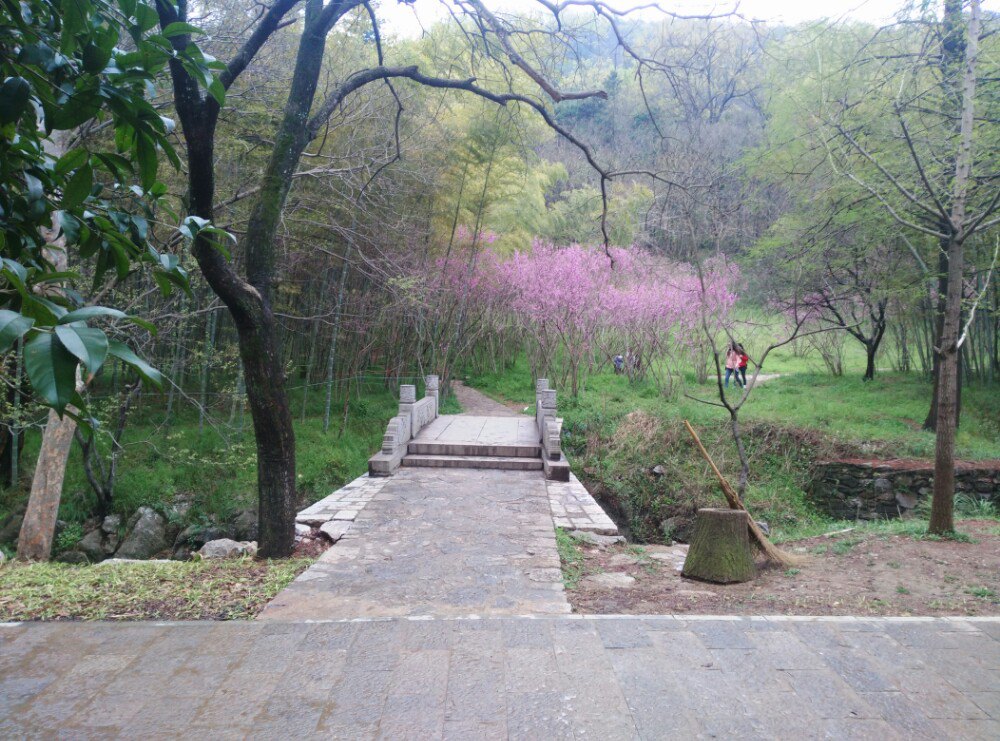 琅琊山風景區門票兒童票(琅琊山風景區門票優惠政策)