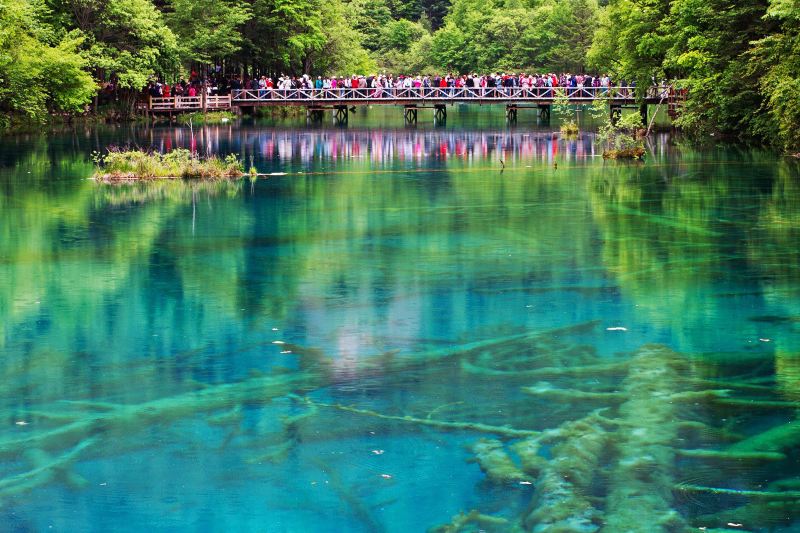 九寨溝旅遊攻略 九寨溝景點地圖 阿壩自由行旅遊指南 Trip Com