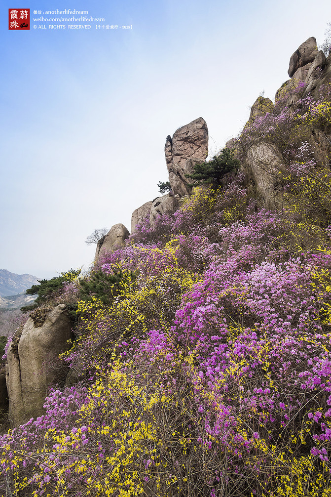 青岛小珠山(青岛小珠山景区)