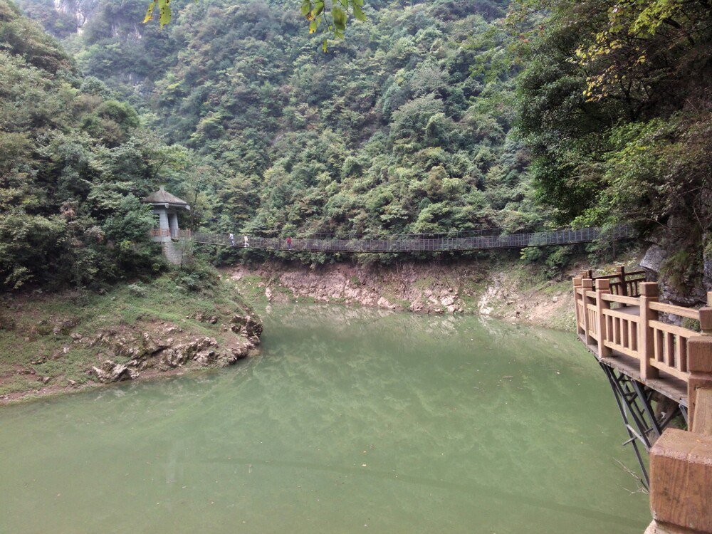 2019野人谷_旅遊攻略_門票_地址_遊記點評,房縣旅遊景點推薦 - 去哪兒