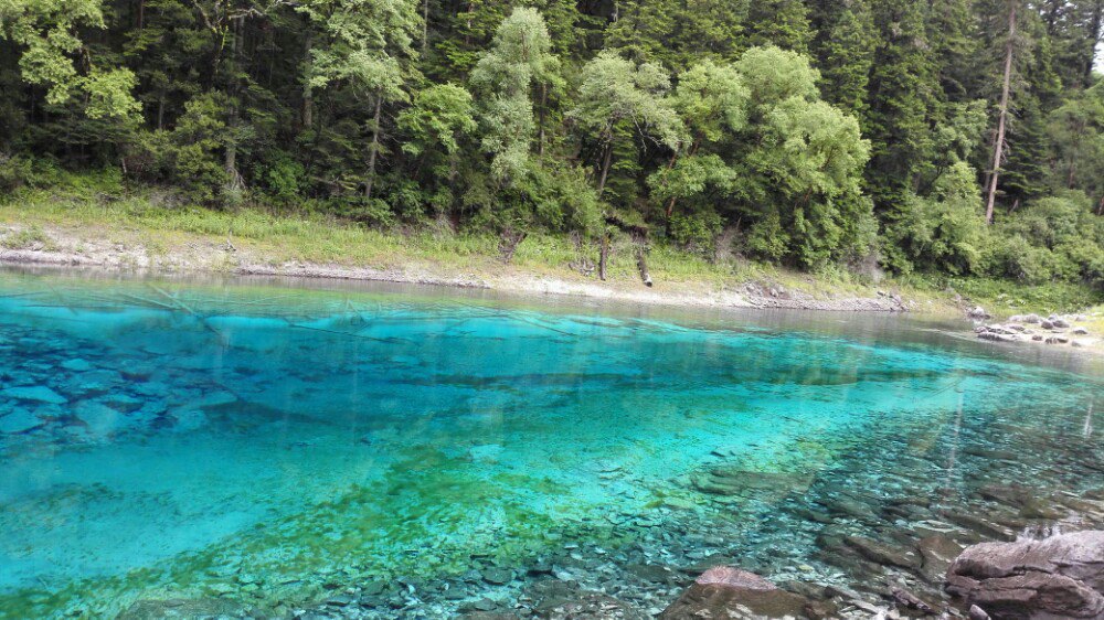 2019五彩池_旅遊攻略_門票_地址_遊記點評,九寨溝旅遊景點推薦 - 去