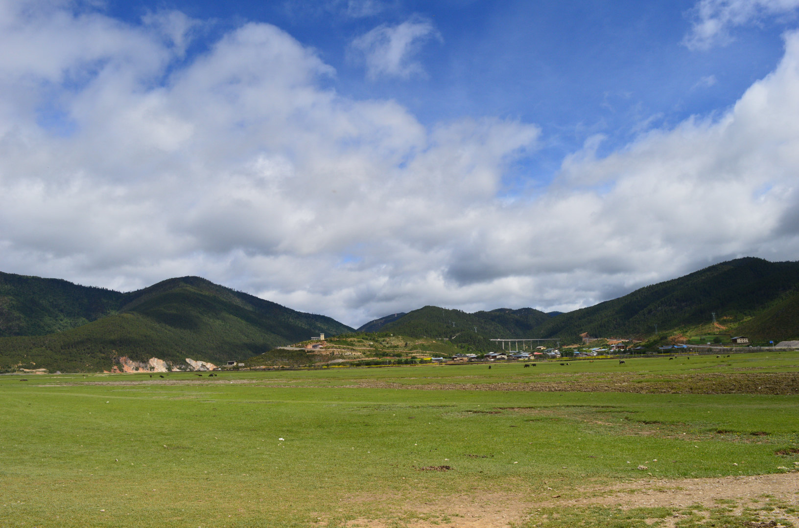 2019纳帕海_旅游攻略_门票_地址_游记点评,香格里拉旅游景点推荐 去