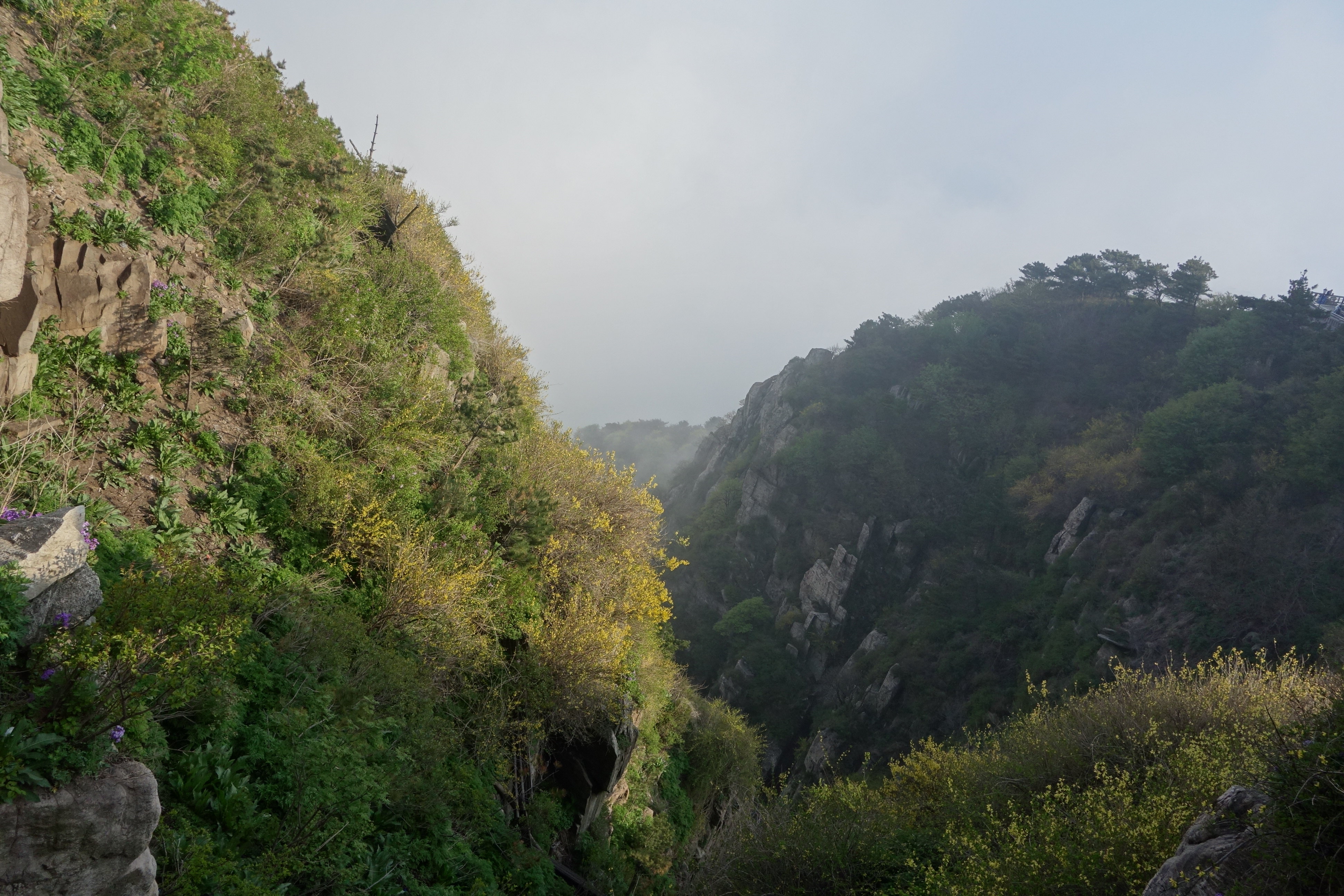 泰山風景區