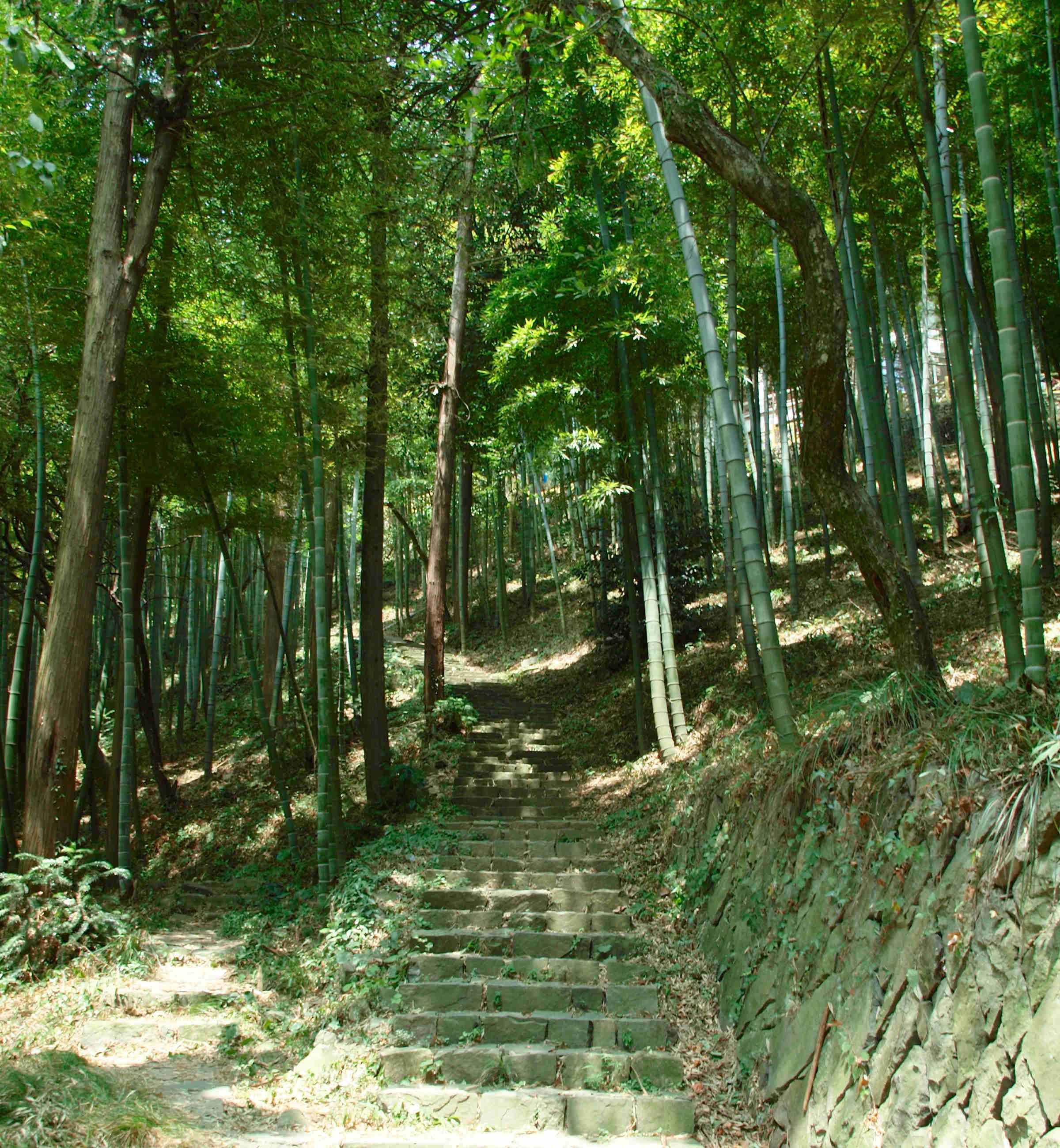 莫干山景区