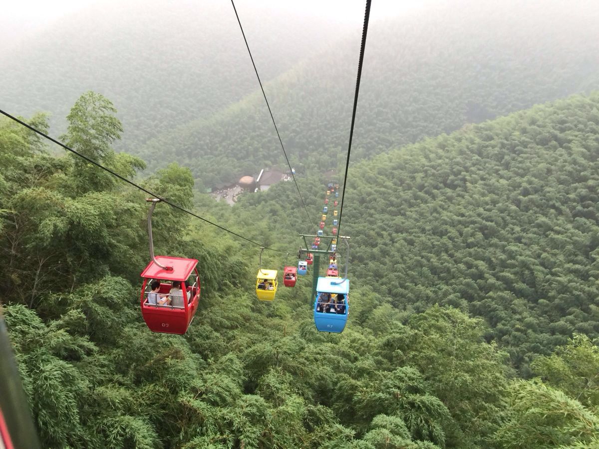 南山竹海