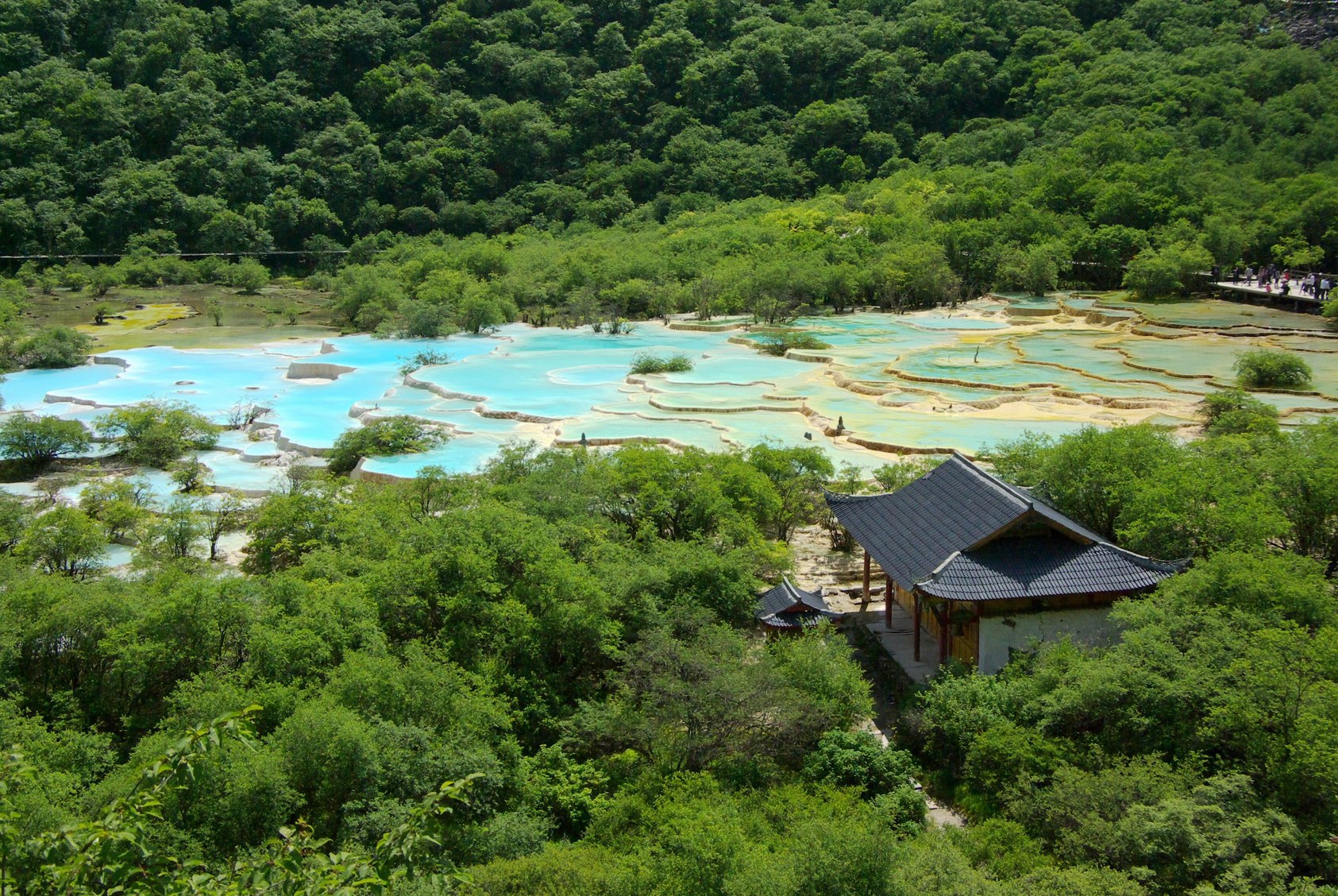 年丰旅游资讯网(年丰休闲农业观光园)