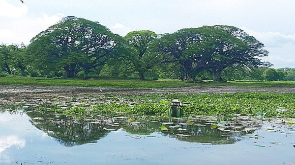 圆梦斯里兰卡攻略篇(完整版)