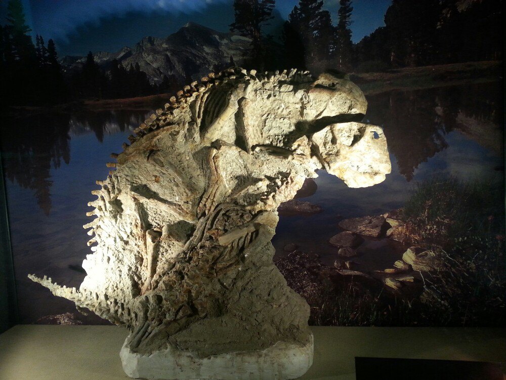 朝阳鸟化石国家地质公园