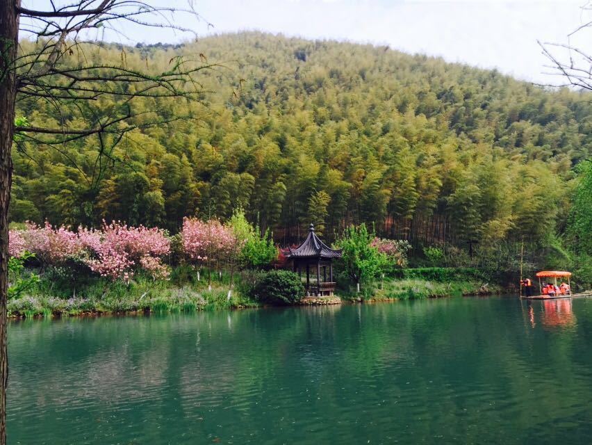 南山竹海旅遊景點攻略圖