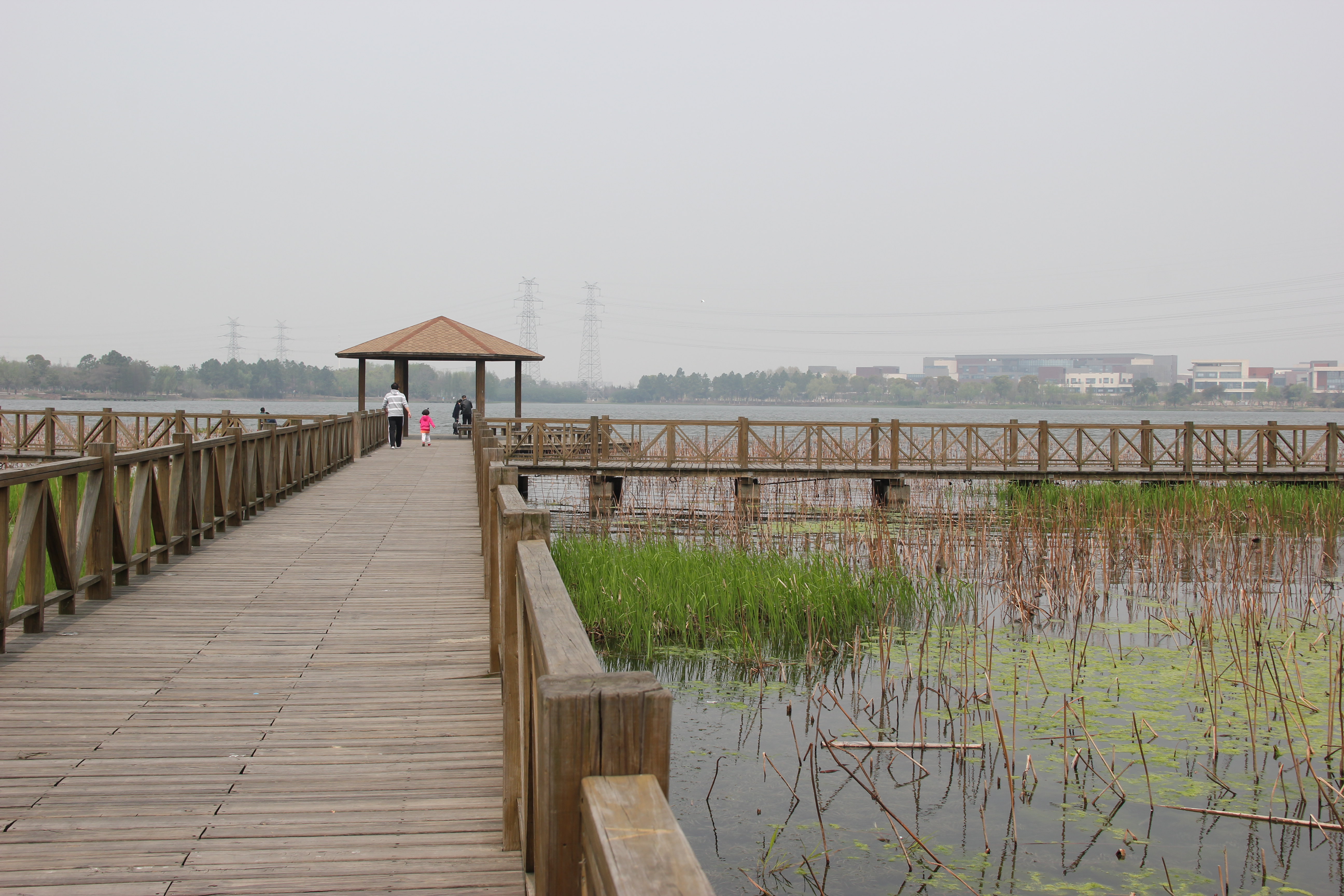 苏州东沙湖生态公园图片