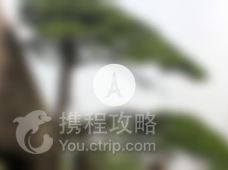 渑池大师父蛋糕名店(新市场店)附近景点推荐_