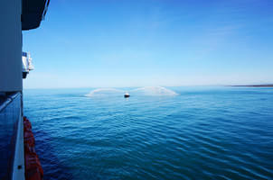 在罗马吃一份正宗手工意大利面