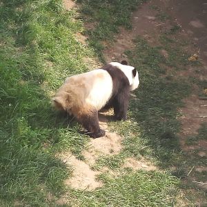 如月湖溼地公園