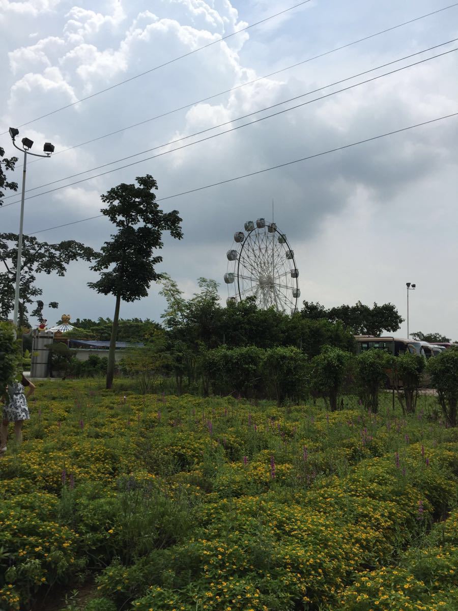 广州花都香草乐园图片