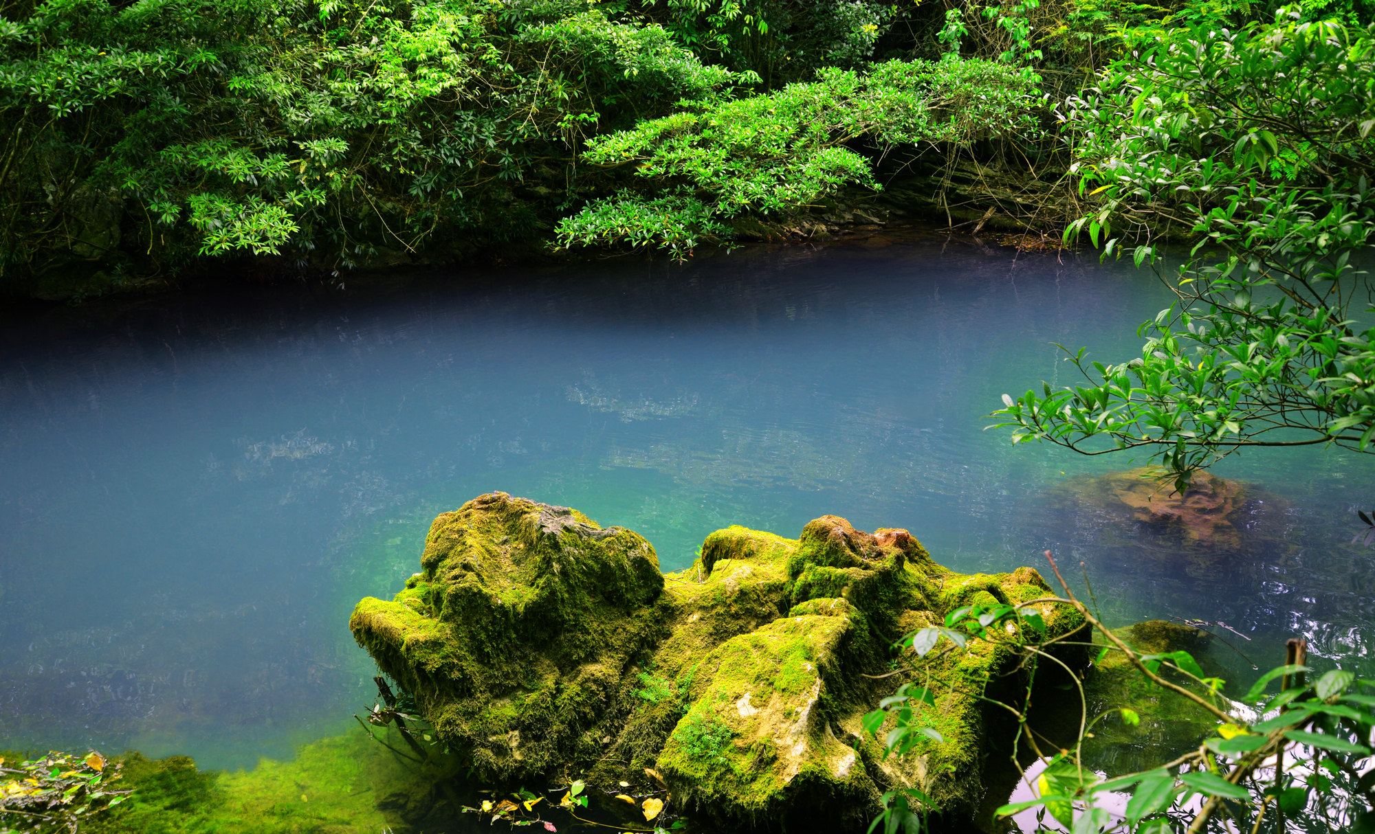 茂兰国家森林公园图片