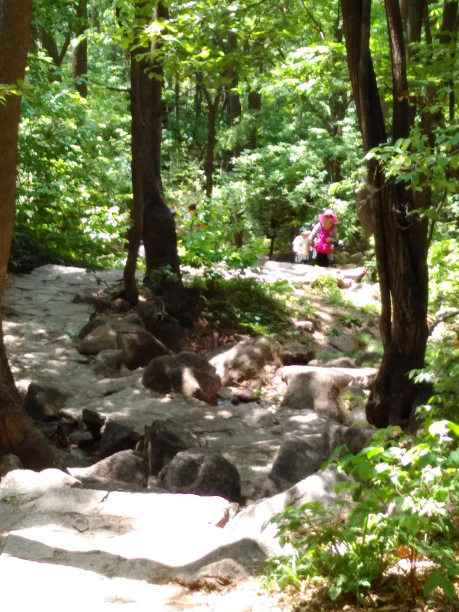 沈阳出发抚顺三块石森林公园自驾亲子游