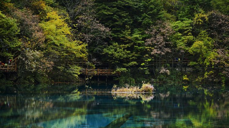 九寨沟金铃海攻略-金铃海门票价格多少钱-团购票价预定优惠-景点地址