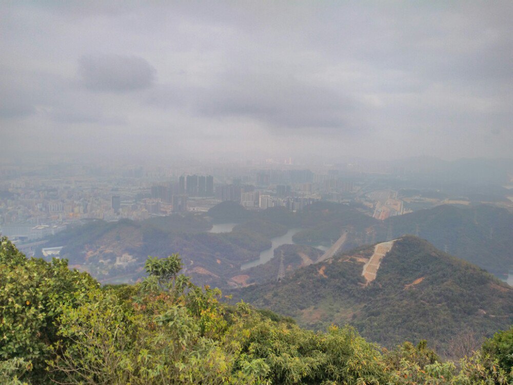 2019羊台山森林公園_旅遊攻略_門票_地址_遊記點評,深圳旅遊景點推薦