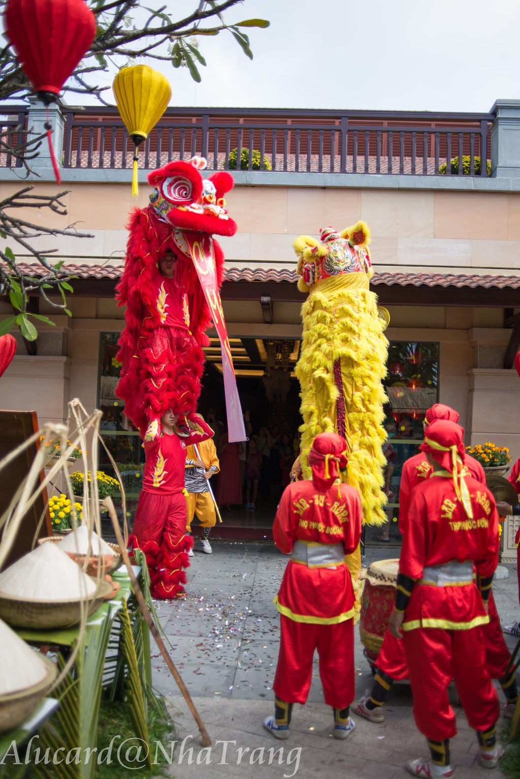 芽庄三口之家12日游记 - 越南游记攻略【携程攻略】
