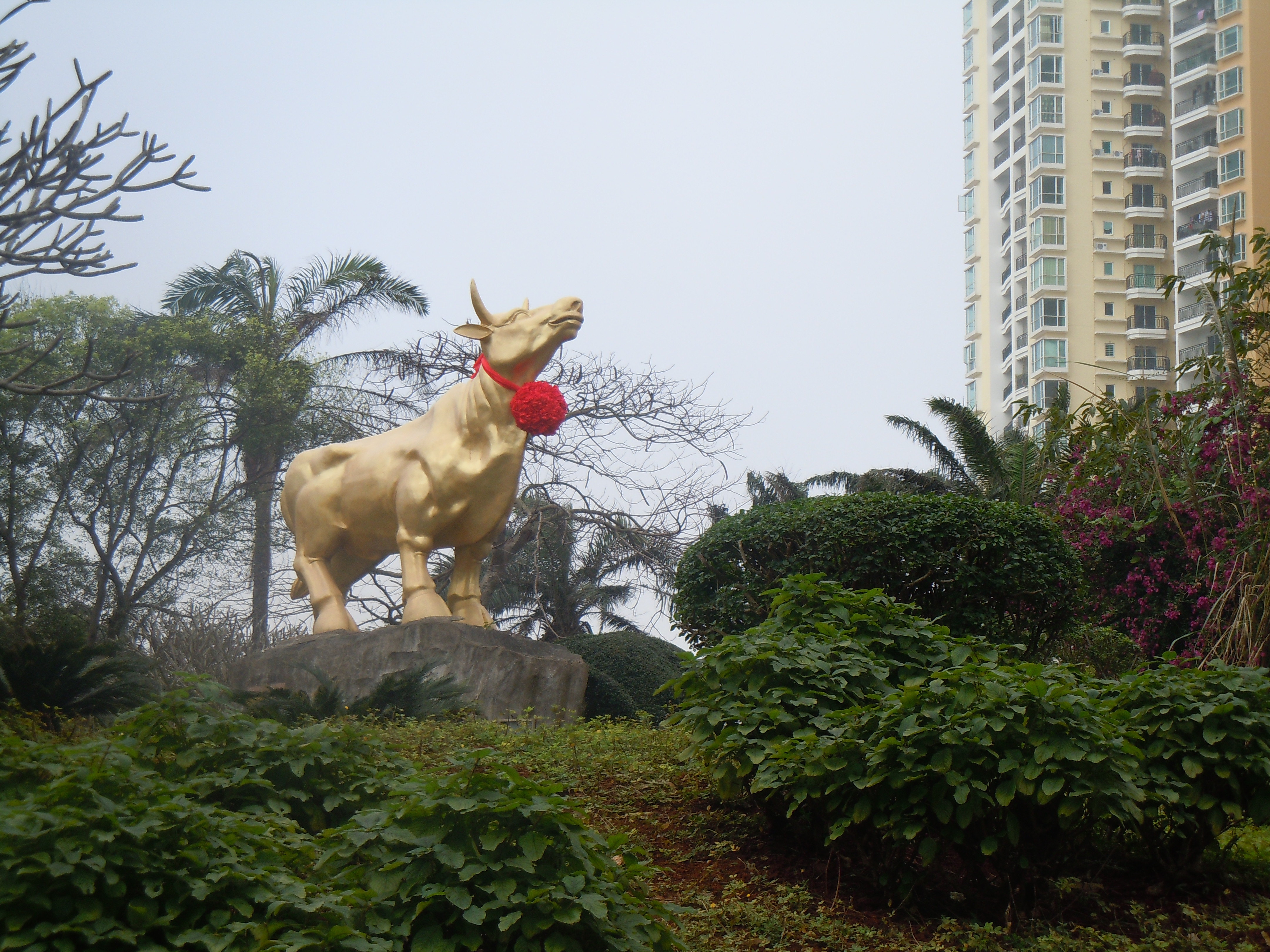 【攜程攻略】海口金牛嶺公園適合家庭親子旅遊嗎,金牛嶺公園家庭親子