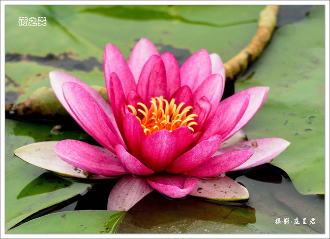 CghzgFWeqaaAC9qvAAg24JnV3pE497_R_671_10000_Q90.jpg?proc=autoorient