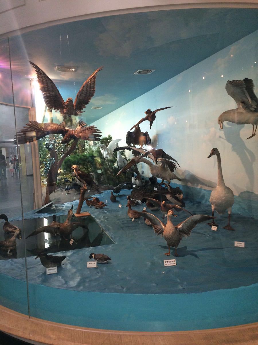 济州岛济州民俗自然史博物馆好玩吗,济州岛济州民俗自然史博物馆景点