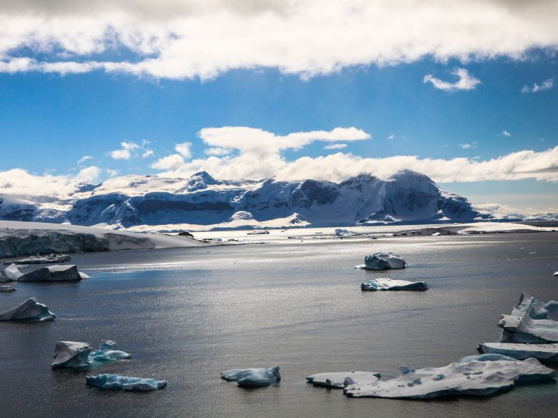 天" "岛上是gentoo企鹅的领地" 1/ 68 库佛维尔岛 cuverville island