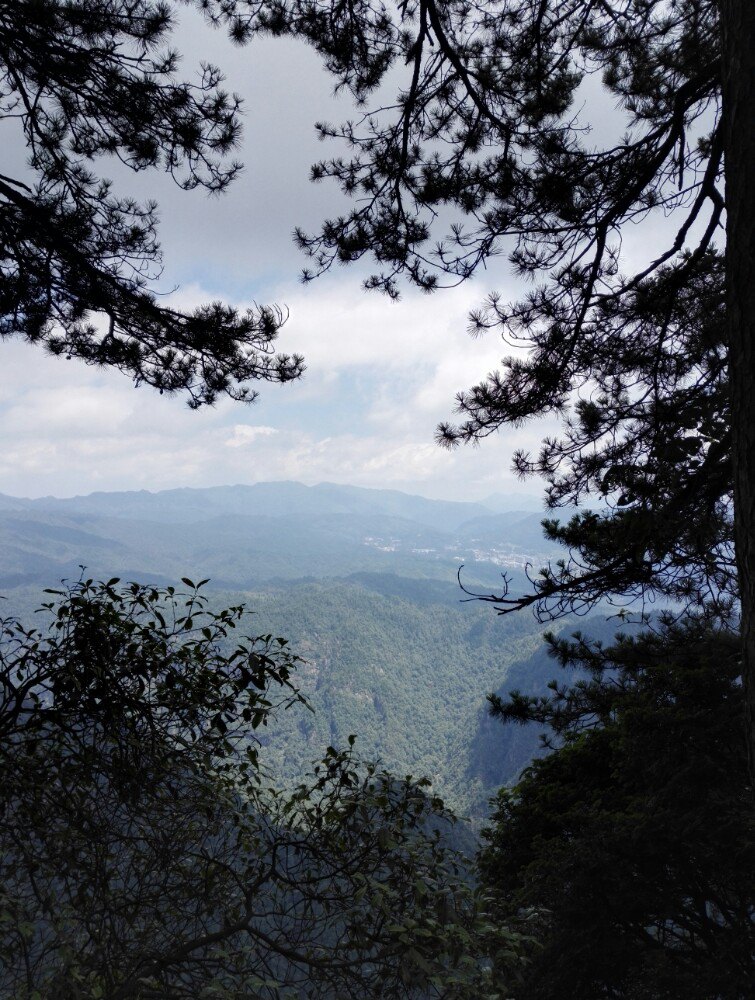 攻略】江西吉安井岡山杜鵑山(筆架山)好玩嗎,江西杜鵑山(筆架山)景點