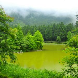 2021明池国家森林游乐区 旅游攻略 门票 地址 问答 游记点评 宜兰旅游旅游景点推荐 去哪儿攻略