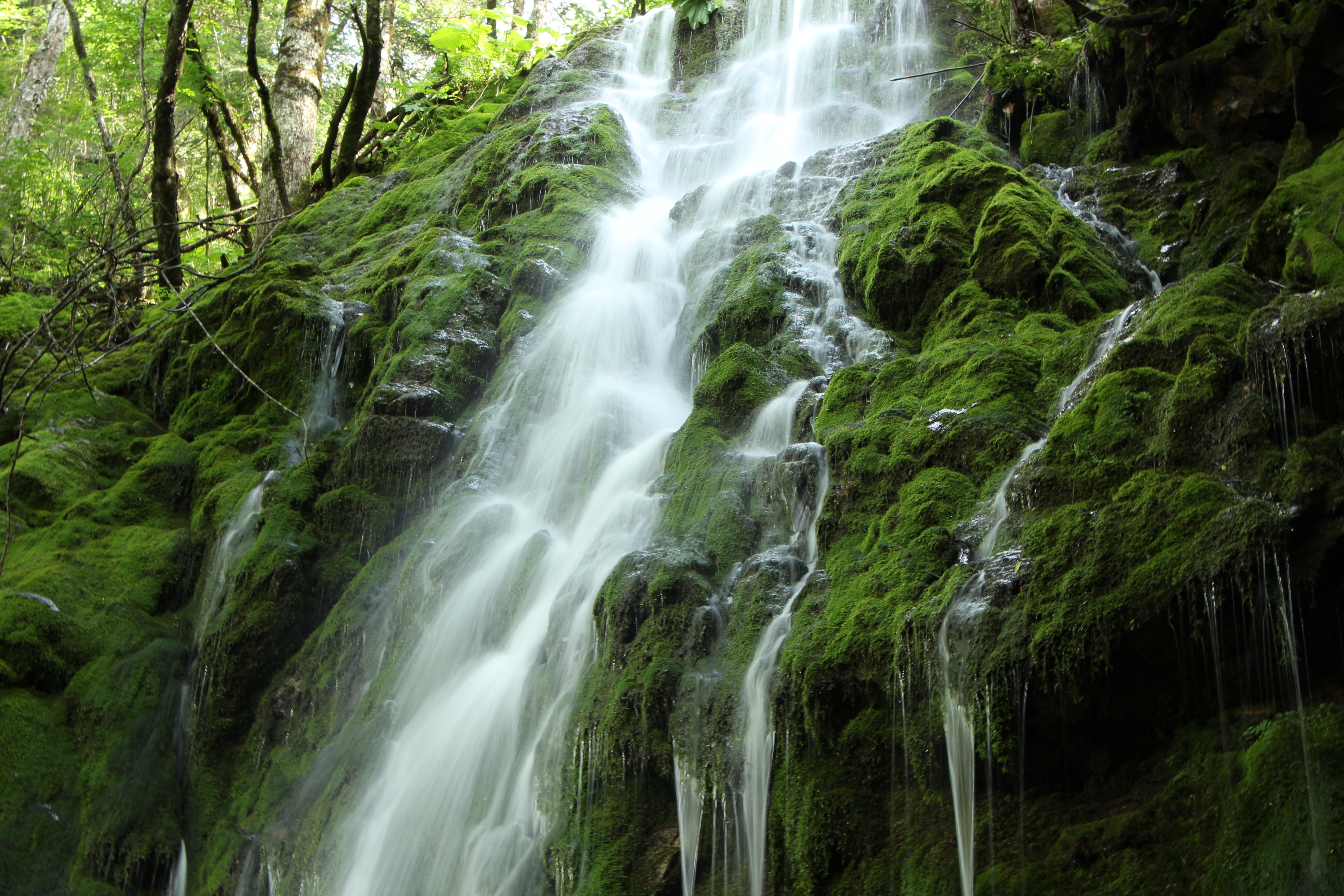 景点是顺水而下,沿途的小溪,瀑布川流不息.