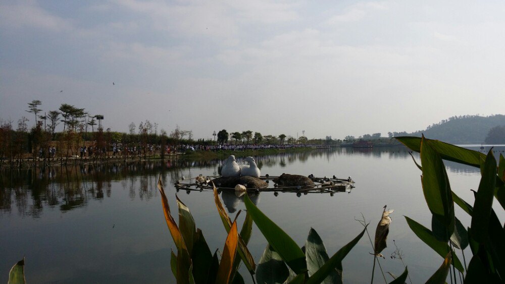 【攜程攻略】陽江鴛鴦湖公園適合單獨旅行旅遊嗎,鴛鴦湖公園單獨旅行