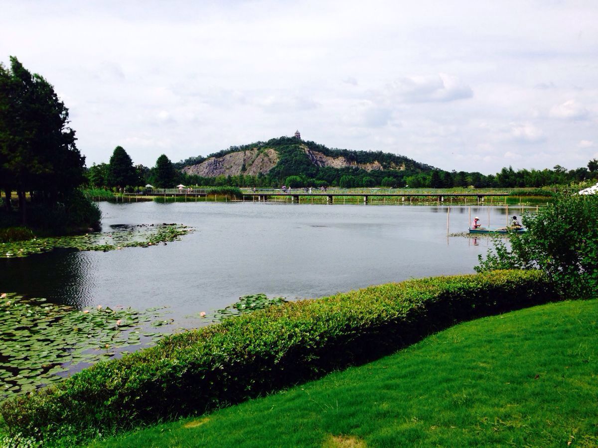 上海辰山植物园