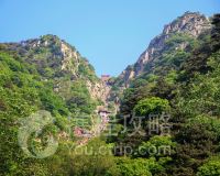 泰山景区门票价格 进出游玩攻略 CghzgVWwxqOAJTXCABSkRtjLt2Y606_D_200_160_Mtg_7.jpg?v=20190522_10_35
