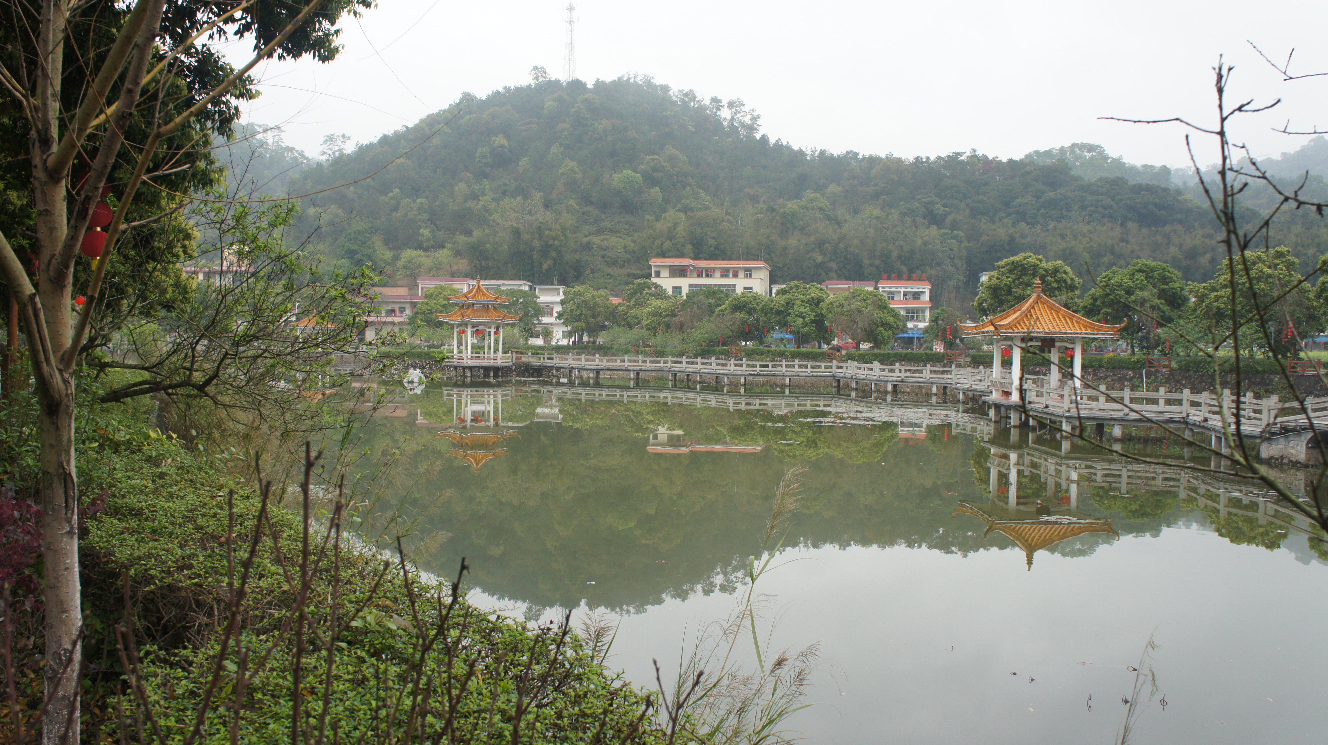 萧山红山村图片