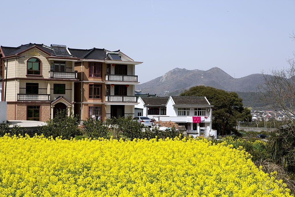 踏青舟山干施岙