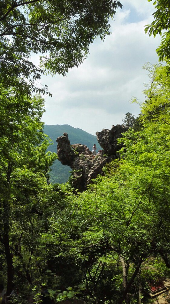 【携程攻略】京山绿林古兵寨适合朋友出游旅游吗,绿林古兵寨朋友出游