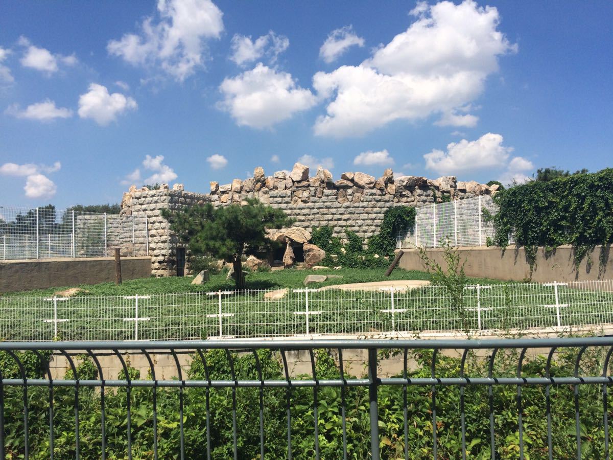 長春動植物公園旅遊景點攻略圖