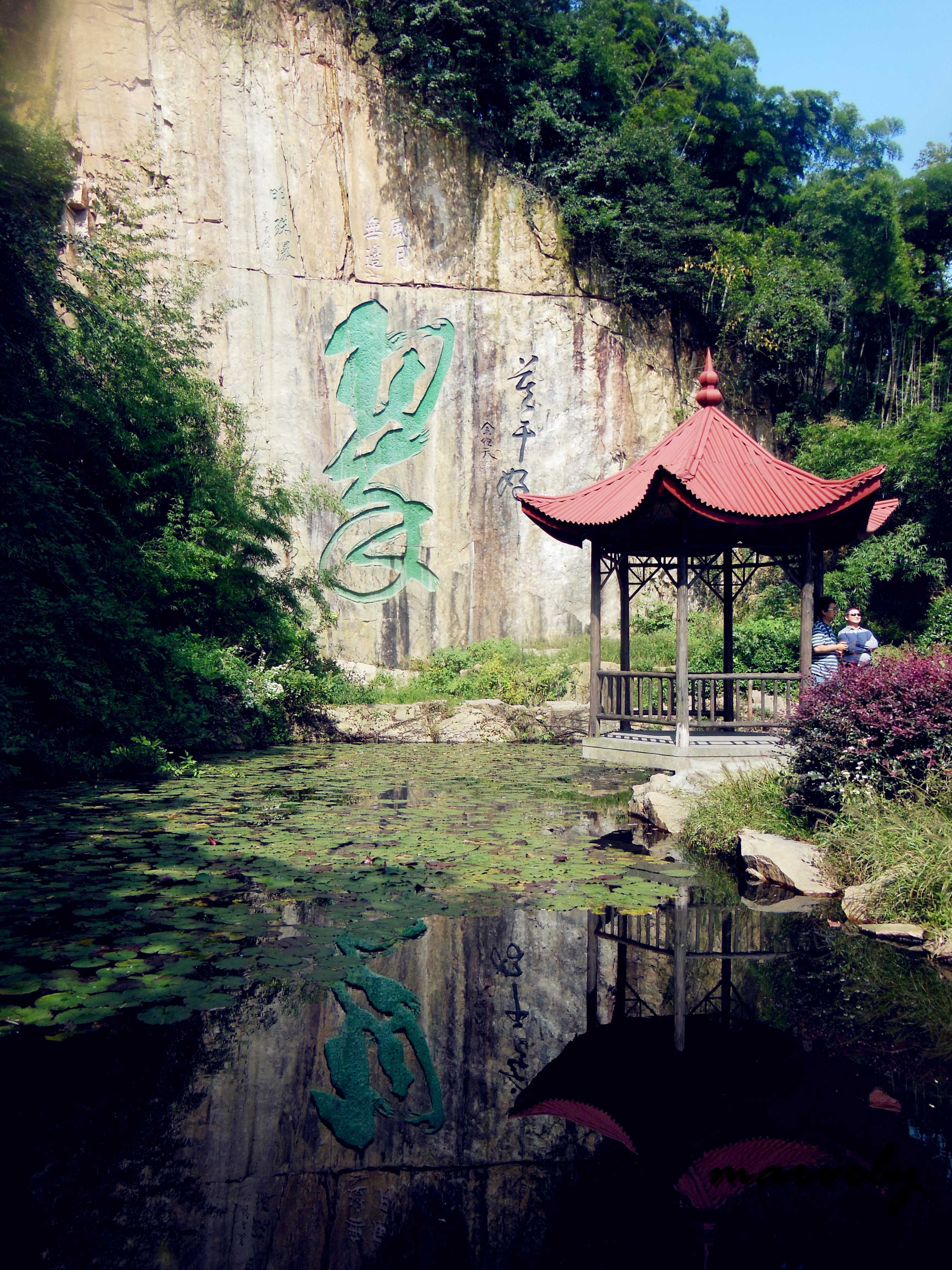 杭州莫干山景区图片图片