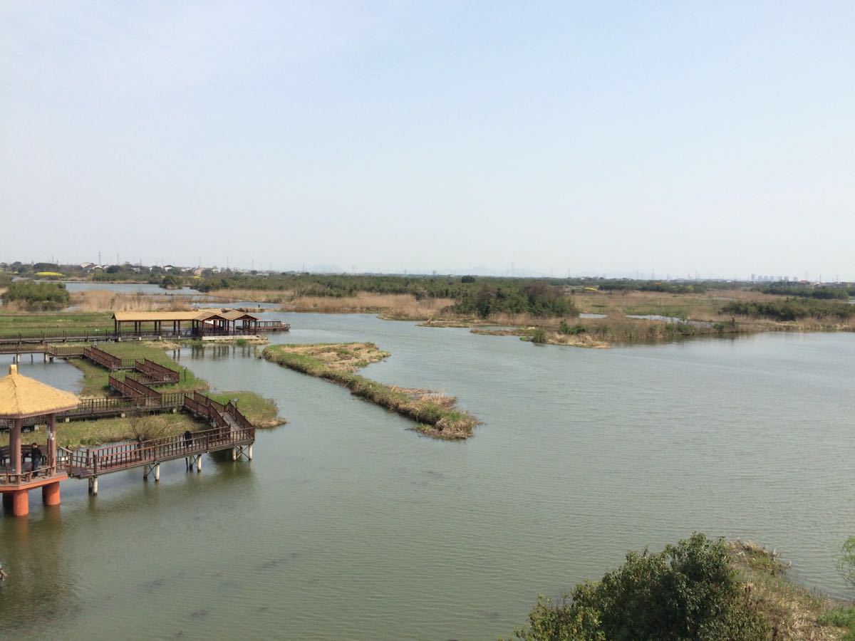 德清下渚湖溼地公園