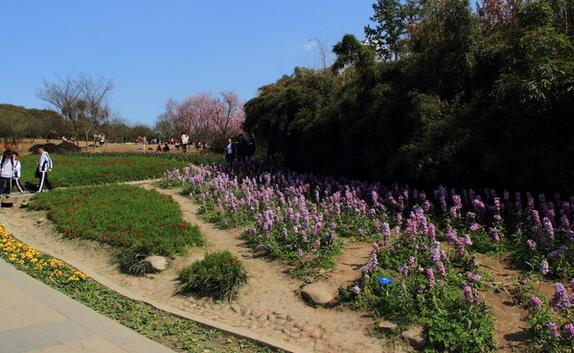 成都植物園