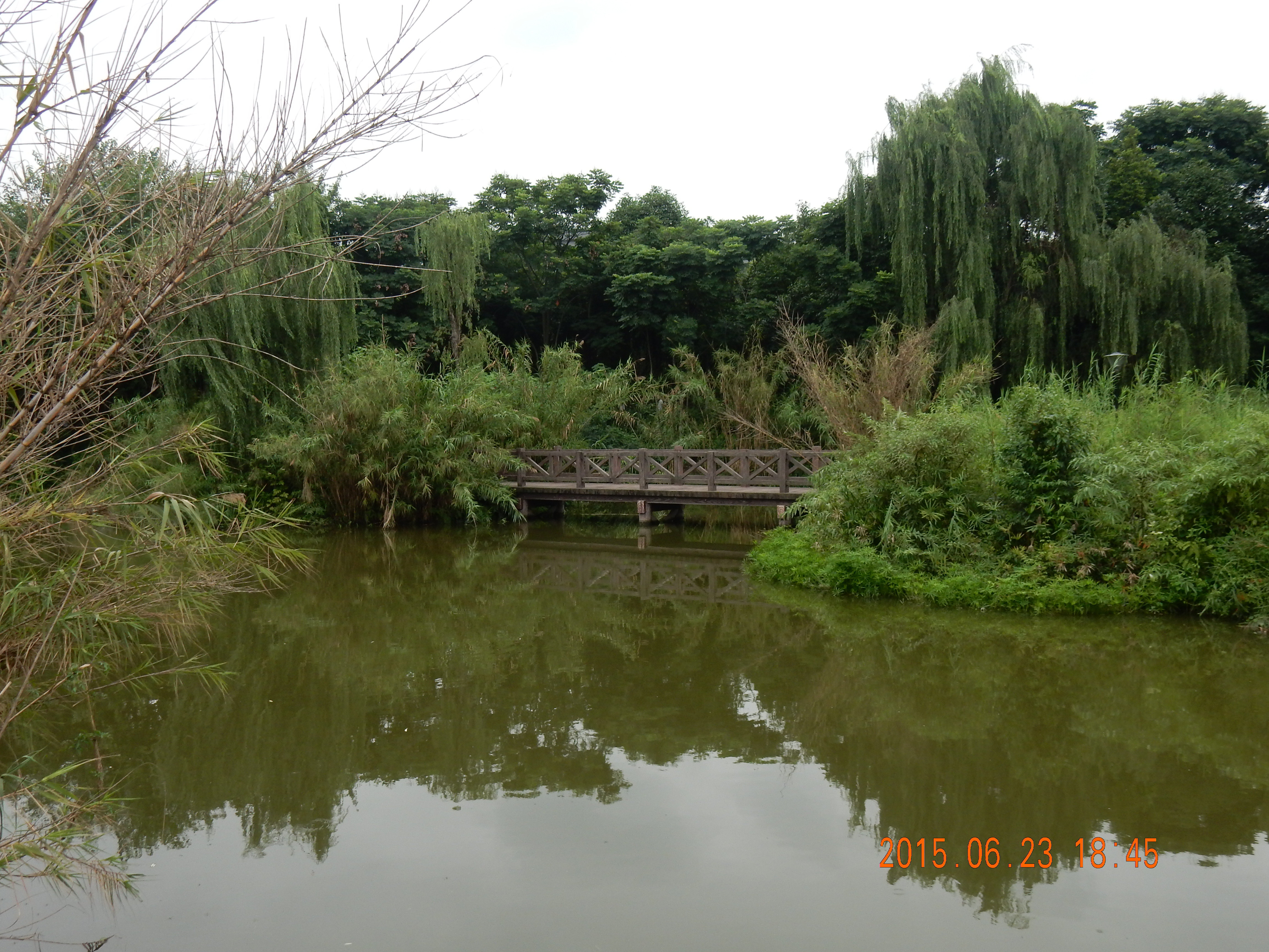 2019浣花溪公園_旅遊攻略_門票_地址_遊記點評,成都旅遊景點推薦 - 去