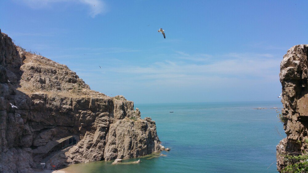 【攜程攻略】榮成海驢島適合朋友出遊旅遊嗎,海驢島朋友出遊景點推薦