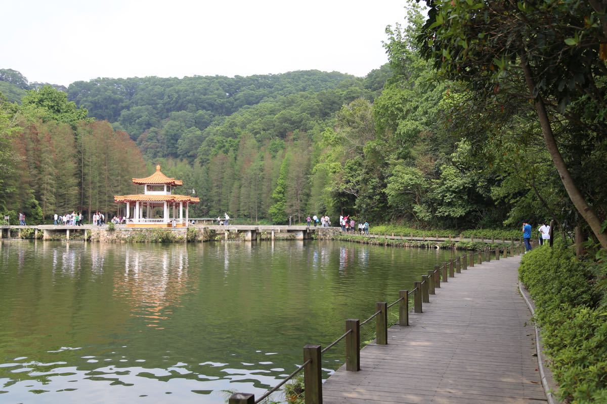 深圳仙湖植物园照片图片