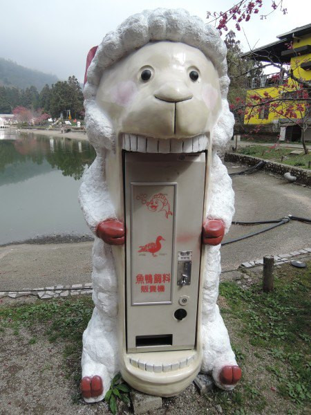 【BlackCat】初見“台灣”—西線篇-旅人制造