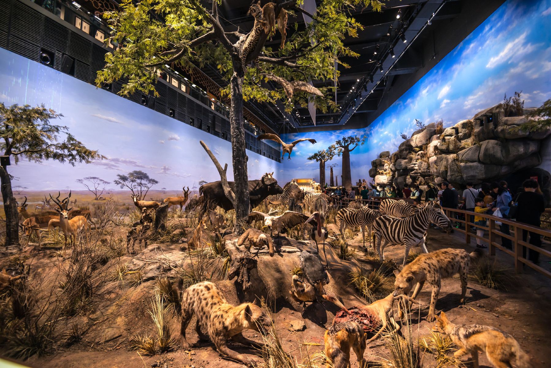 tripadvisor-猫途鹰