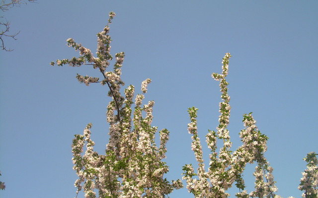 解语花盛开 北京游记攻略 携程攻略