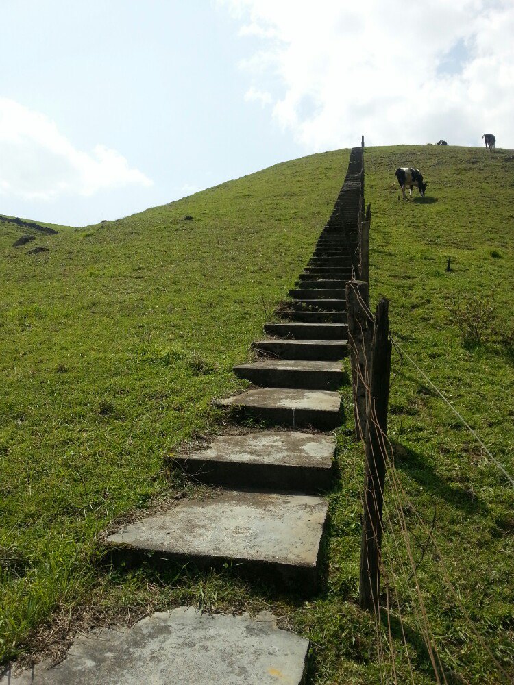 2018南山牧場_旅遊攻略_門票_地址_遊記點評,城步旅遊景點推薦 - 去