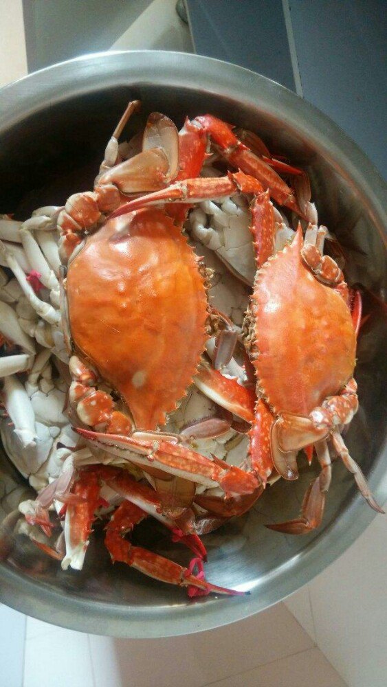 2021长兴岛游玩攻略,故地重游觉得人好,价格合理. 【去哪儿攻略】