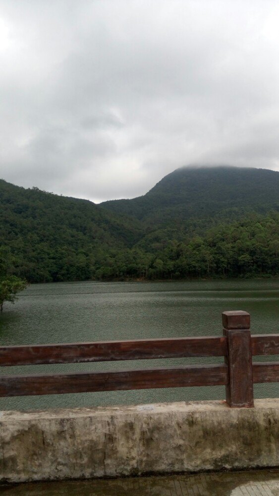 清溪森林公園旅遊景點攻略圖